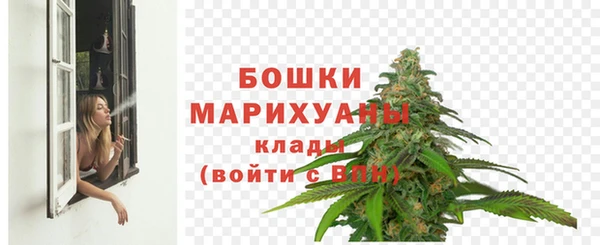 хмурый Бородино