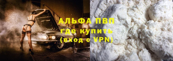 хмурый Бородино